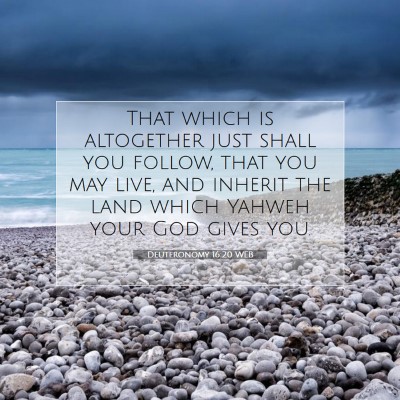 Picture 07 - Deuteronomy 16:20 WEB - That which is altogether just shall you follow, - Bible Verse Picture