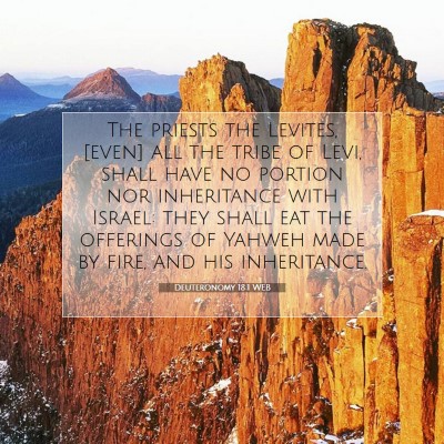 Picture 07 - Deuteronomy 18:1 WEB - The priests the Levites, [even] all the tribe of - Bible Verse Picture