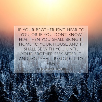 Picture 07 - Deuteronomy 22:2 WEB - If your brother isn't near to you, or if you - Bible Verse Picture