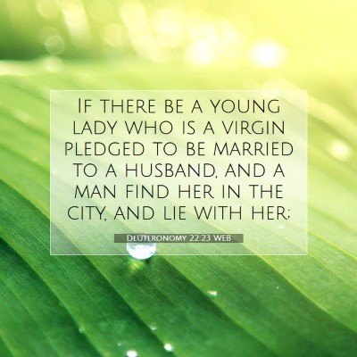 Picture 07 - Deuteronomy 22:23 WEB - If there be a young lady who is a virgin pledged - Bible Verse Picture