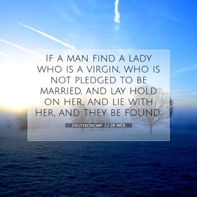 Picture 07 - Deuteronomy 22:28 WEB - If a man find a lady who is a virgin, who is not - Bible Verse Picture