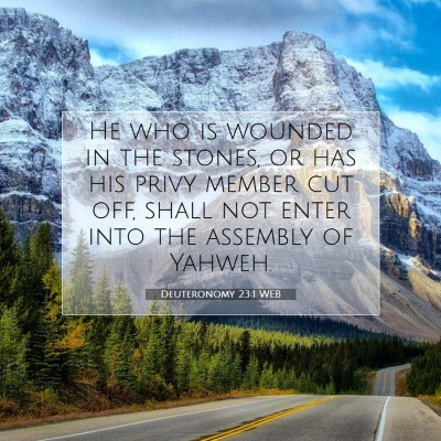 Picture 07 - Deuteronomy 23:1 WEB - He who is wounded in the stones, or has his privy - Bible Verse Picture