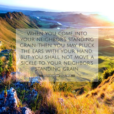 Picture 07 - Deuteronomy 23:25 WEB - When you come into your neighbor's standing - Bible Verse Picture