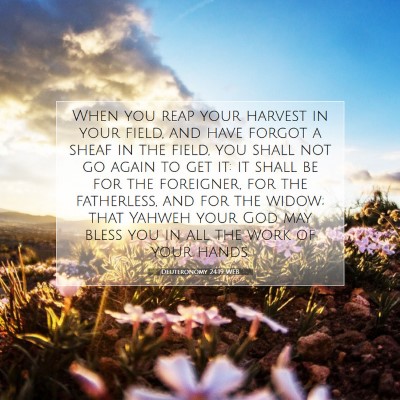 Picture 07 - Deuteronomy 24:19 WEB - When you reap your harvest in your field, and - Bible Verse Picture