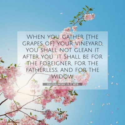 Picture 07 - Deuteronomy 24:21 WEB - When you gather [the grapes of] your vineyard, - Bible Verse Picture