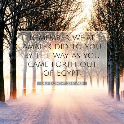 Picture 07 - Deuteronomy 25:17 WEB - Remember what Amalek did to you by the way as you - Bible Verse Picture
