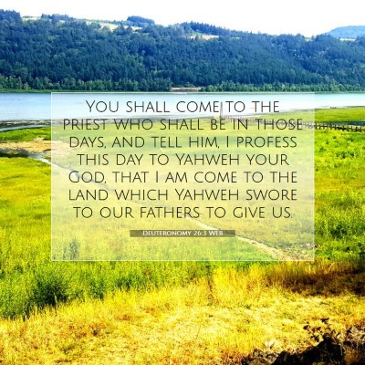 Picture 07 - Deuteronomy 26:3 WEB - You shall come to the priest who shall be in - Bible Verse Picture