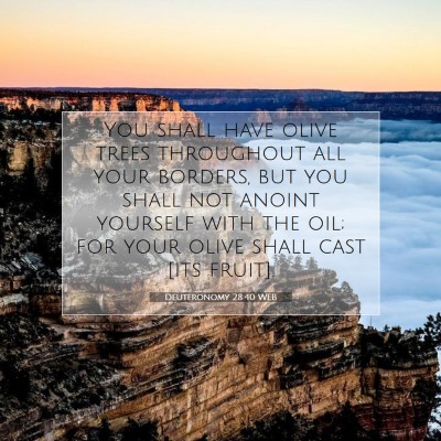 Picture 07 - Deuteronomy 28:40 WEB - You shall have olive trees throughout all your - Bible Verse Picture