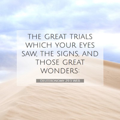 Picture 07 - Deuteronomy 29:3 WEB - the great trials which your eyes saw, the signs, - Bible Verse Picture
