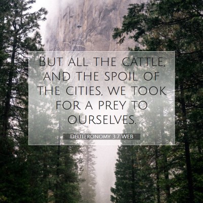 Picture 07 - Deuteronomy 3:7 WEB - But all the cattle, and the spoil of the cities, - Bible Verse Picture