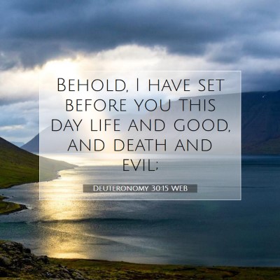 Picture 07 - Deuteronomy 30:15 WEB - Behold, I have set before you this day life and - Bible Verse Picture