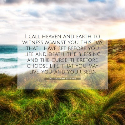 Picture 07 - Deuteronomy 30:19 WEB - I call heaven and earth to witness against you - Bible Verse Picture