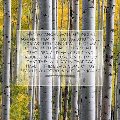 Picture 07 - Deuteronomy 31:17 WEB - Then my anger shall be kindled against them in - Bible Verse Picture