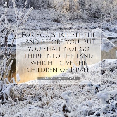 Picture 07 - Deuteronomy 32:52 WEB - For you shall see the land before you; but you - Bible Verse Picture