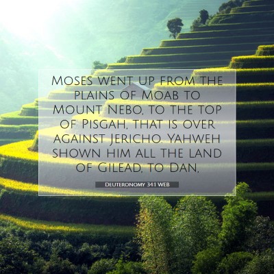 Picture 07 - Deuteronomy 34:1 WEB - Moses went up from the plains of Moab to Mount - Bible Verse Picture
