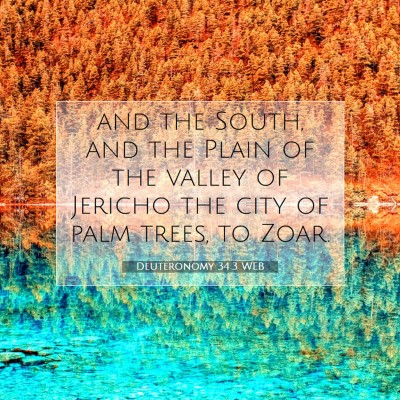 Picture 07 - Deuteronomy 34:3 WEB - and the South, and the Plain of the valley of - Bible Verse Picture