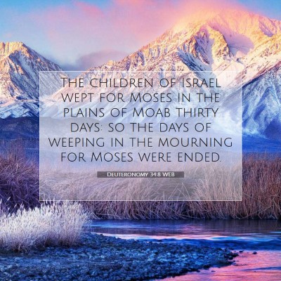 Picture 07 - Deuteronomy 34:8 WEB - The children of Israel wept for Moses in the - Bible Verse Picture