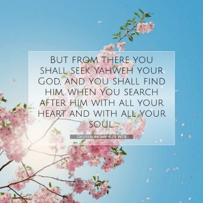 Picture 07 - Deuteronomy 4:29 WEB - But from there you shall seek Yahweh your God, - Bible Verse Picture