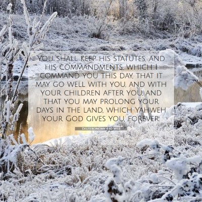 Picture 07 - Deuteronomy 4:40 WEB - You shall keep his statutes, and his - Bible Verse Picture