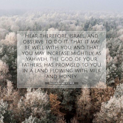 Picture 07 - Deuteronomy 6:3 WEB - Hear therefore, Israel, and observe to do it; - Bible Verse Picture