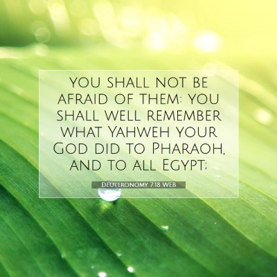 Picture 07 - Deuteronomy 7:18 WEB - you shall not be afraid of them: you shall well - Bible Verse Picture