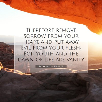 Picture 07 - Ecclesiastes 11:10 WEB - Therefore remove sorrow from your heart, And put - Bible Verse Picture