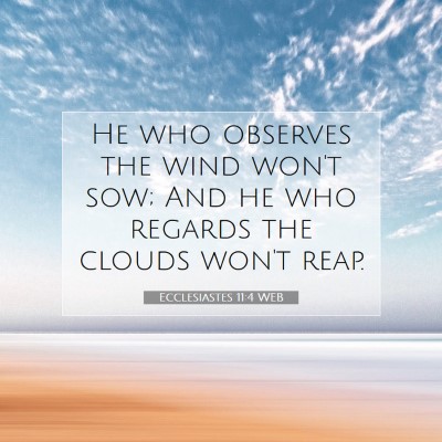 Picture 07 - Ecclesiastes 11:4 WEB - He who observes the wind won't sow; And he who - Bible Verse Picture
