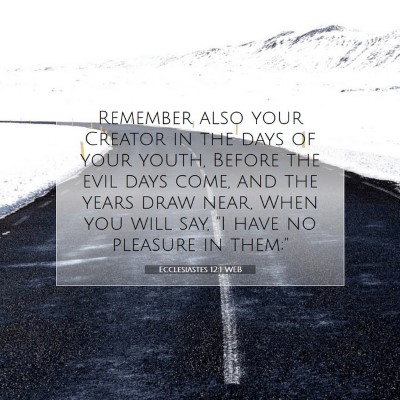 Picture 07 - Ecclesiastes 12:1 WEB - Remember also your Creator in the days of your - Bible Verse Picture