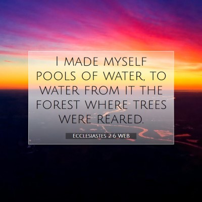 Picture 07 - Ecclesiastes 2:6 WEB - I made myself pools of water, to water from it - Bible Verse Picture