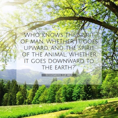 Picture 07 - Ecclesiastes 3:21 WEB - Who knows the spirit of man, whether it goes - Bible Verse Picture