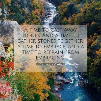 Picture 07 - Ecclesiastes 3:5 WEB - A time to cast away stones, And a time to gather - Bible Verse Picture