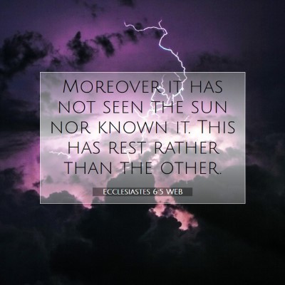 Picture 07 - Ecclesiastes 6:5 WEB - Moreover it has not seen the sun nor known it. - Bible Verse Picture