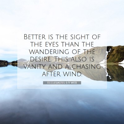 Picture 07 - Ecclesiastes 6:9 WEB - Better is the sight of the eyes than the - Bible Verse Picture