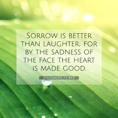 Picture 07 - Ecclesiastes 7:3 WEB - Sorrow is better than laughter; for by the - Bible Verse Picture