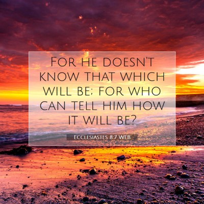Picture 07 - Ecclesiastes 8:7 WEB - For he doesn't know that which will be; for who - Bible Verse Picture