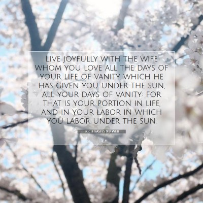 Picture 07 - Ecclesiastes 9:9 WEB - Live joyfully with the wife whom you love all the - Bible Verse Picture