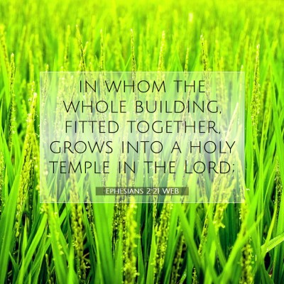 Picture 07 - Ephesians 2:21 WEB - in whom the whole building, fitted together, - Bible Verse Picture