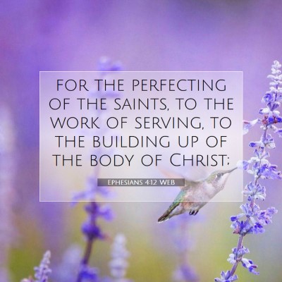 Picture 07 - Ephesians 4:12 WEB - for the perfecting of the saints, to the work of - Bible Verse Picture