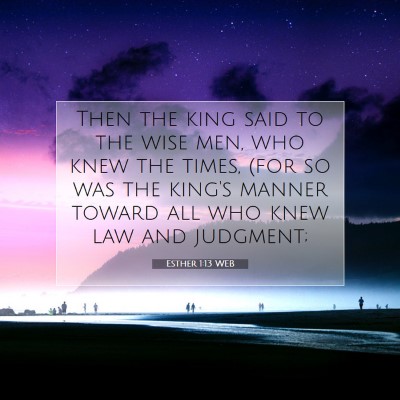 Picture 07 - Esther 1:13 WEB - Then the king said to the wise men, who knew the - Bible Verse Picture