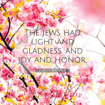 Picture 07 - Esther 8:16 WEB - The Jews had light and gladness, and joy and - Bible Verse Picture
