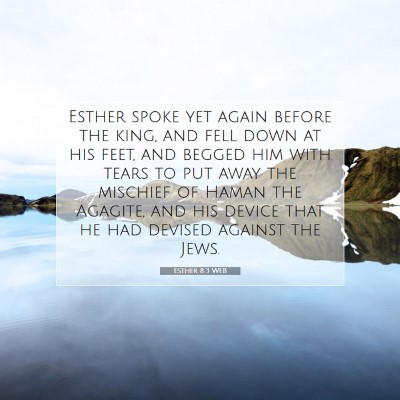Picture 07 - Esther 8:3 WEB - Esther spoke yet again before the king, and fell - Bible Verse Picture