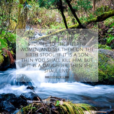 Picture 07 - Exodus 1:16 WEB - and he said, 