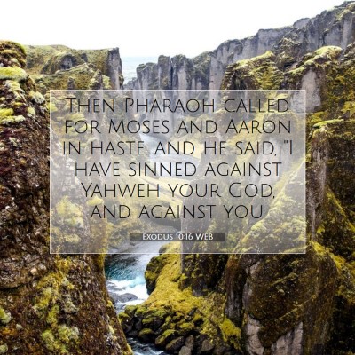 Picture 07 - Exodus 10:16 WEB - Then Pharaoh called for Moses and Aaron in haste, - Bible Verse Picture
