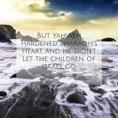 Picture 07 - Exodus 10:20 WEB - But Yahweh hardened Pharaoh's heart, and he - Bible Verse Picture