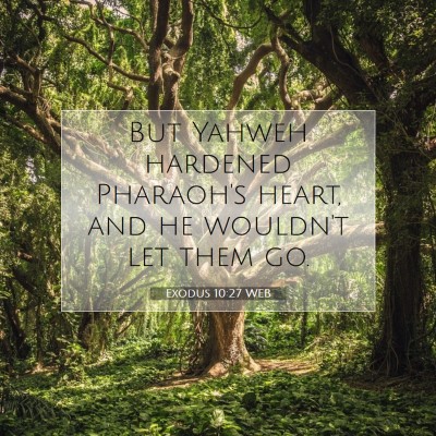 Picture 07 - Exodus 10:27 WEB - But Yahweh hardened Pharaoh's heart, and he - Bible Verse Picture