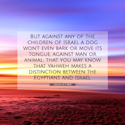 Picture 07 - Exodus 11:7 WEB - But against any of the children of Israel a dog - Bible Verse Picture