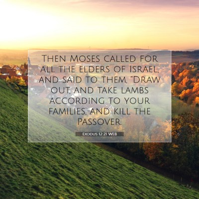 Picture 07 - Exodus 12:21 WEB - Then Moses called for all the elders of Israel, - Bible Verse Picture