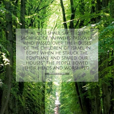 Picture 07 - Exodus 12:27 WEB - that you shall say, 'It is the sacrifice of - Bible Verse Picture