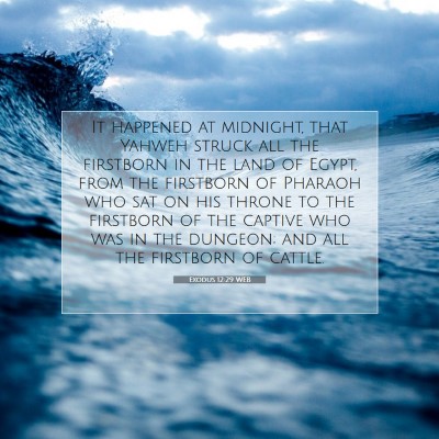 Picture 07 - Exodus 12:29 WEB - It happened at midnight, that Yahweh struck all - Bible Verse Picture