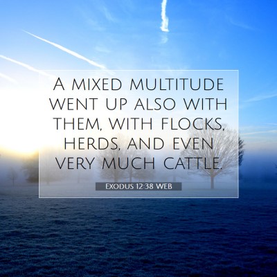 Picture 07 - Exodus 12:38 WEB - A mixed multitude went up also with them, with - Bible Verse Picture